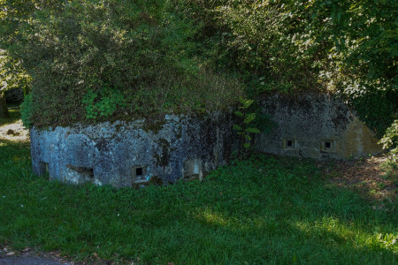 Mont Vully - Murtensee, 17.09.2025 (26).jpg :: Alexander Moser